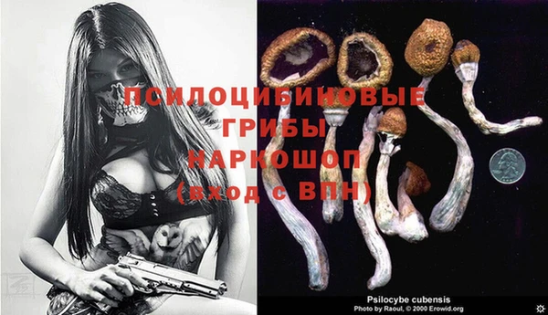 крисы Аркадак
