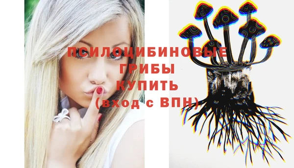 твердый Армянск