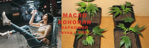 крисы Аркадак