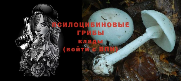 крисы Аркадак